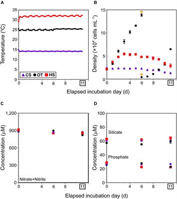 Comparative Transcriptome Analysis of the Phototrophic Dinoflagellate Biecheleriopsis adriatica Grown Under Optimal Temperature and Cold and Heat Stress